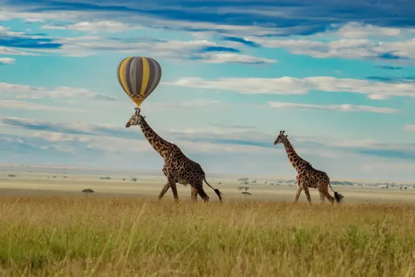 Tarangire Wildlife Day Escape