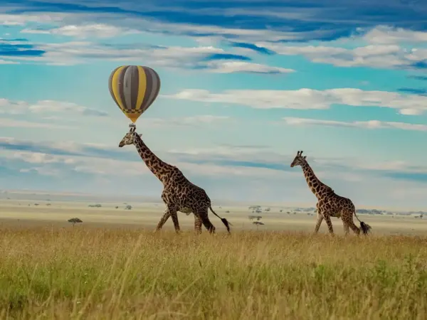 Tarangire Wildlife Day Escape