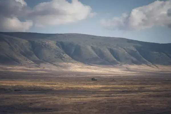 Ngorongoro Crater Wildlife Day Safari