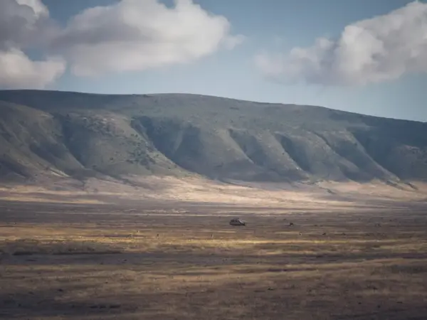 Ngorongoro Crater Wildlife Day Safari