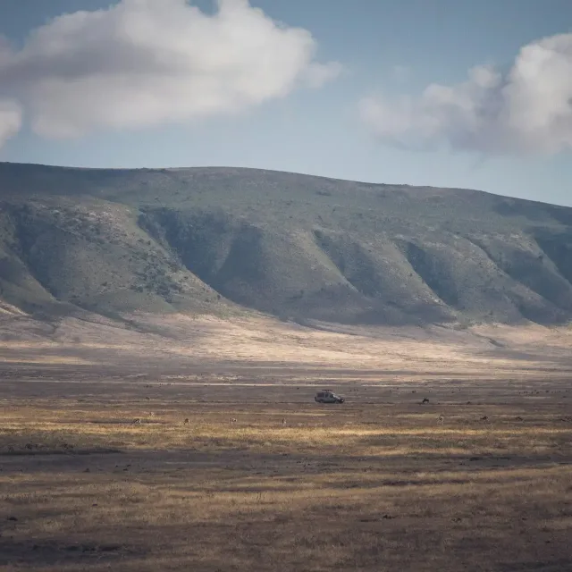 Ngorongoro Crater Wildlife Day Safari