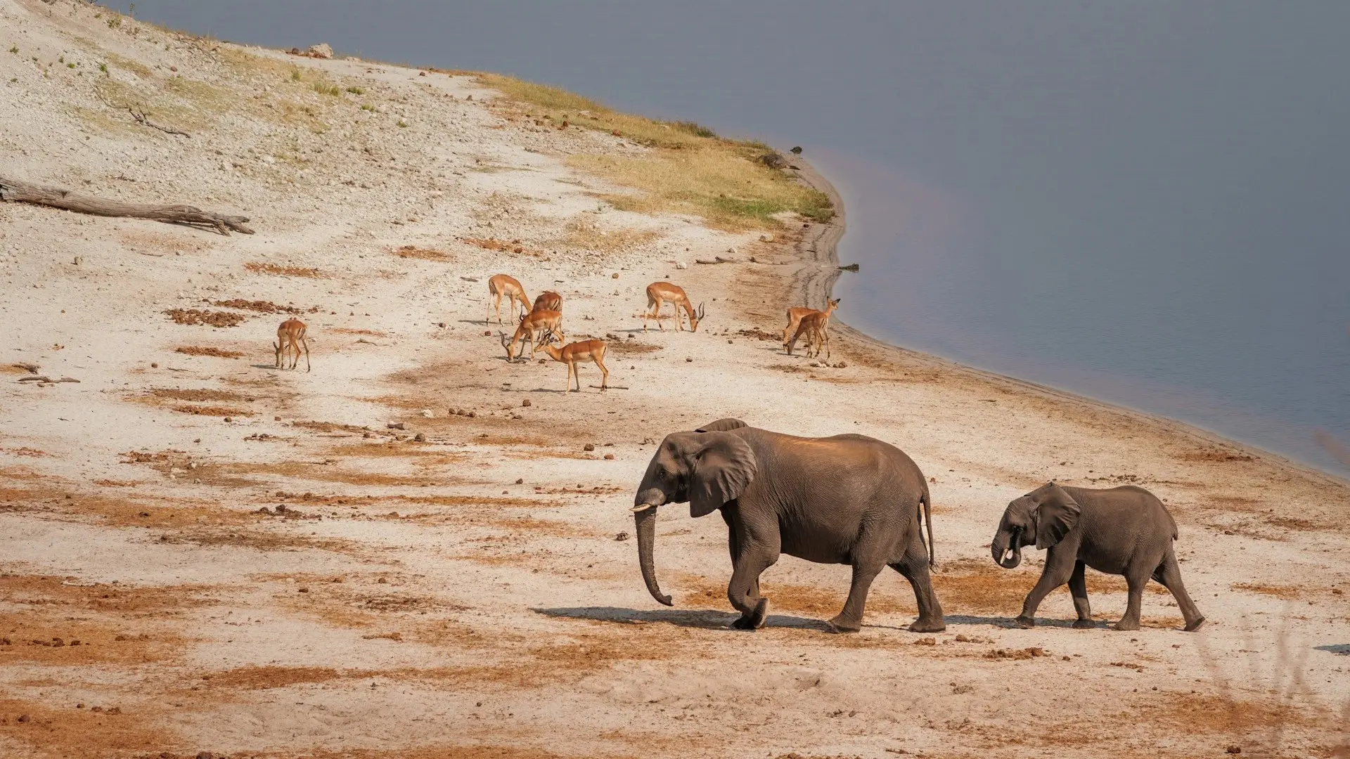 ed-wingate-7IPEbyEWnG0-unsplash