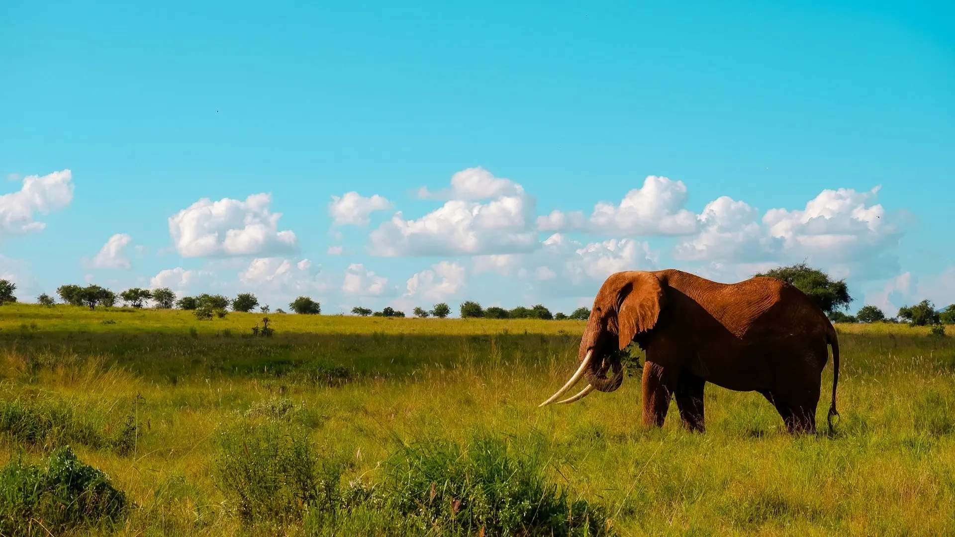 flavio-vallone-9i2WXo1o3s0-unsplash