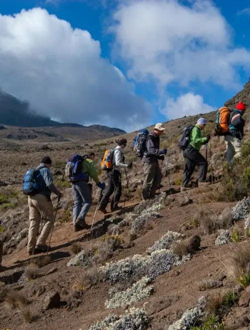 Climb Mount Kilimanjaro with Koggs Adventures