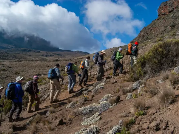 Climb Mount Kilimanjaro with Koggs Adventures