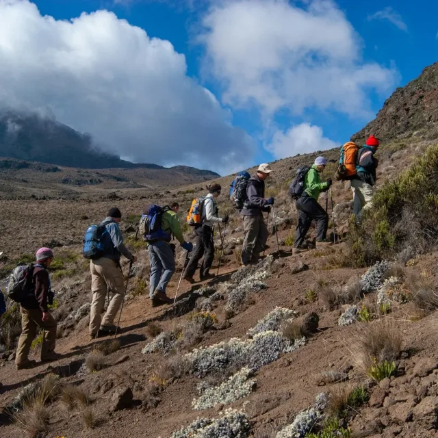 Climb Mount Kilimanjaro with Koggs Adventures